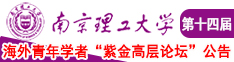 大吊艹逼网站南京理工大学第十四届海外青年学者紫金论坛诚邀海内外英才！